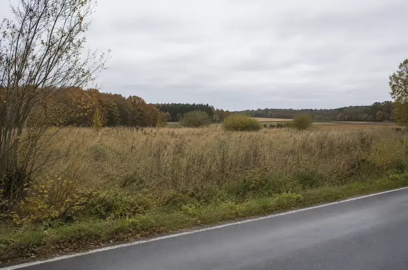 Zwangsversteigerung Unbebautes Grundstück in ., 08393 Meerane – ZVG Portal